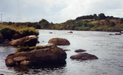 Hier fängt man Forellen und Lachse